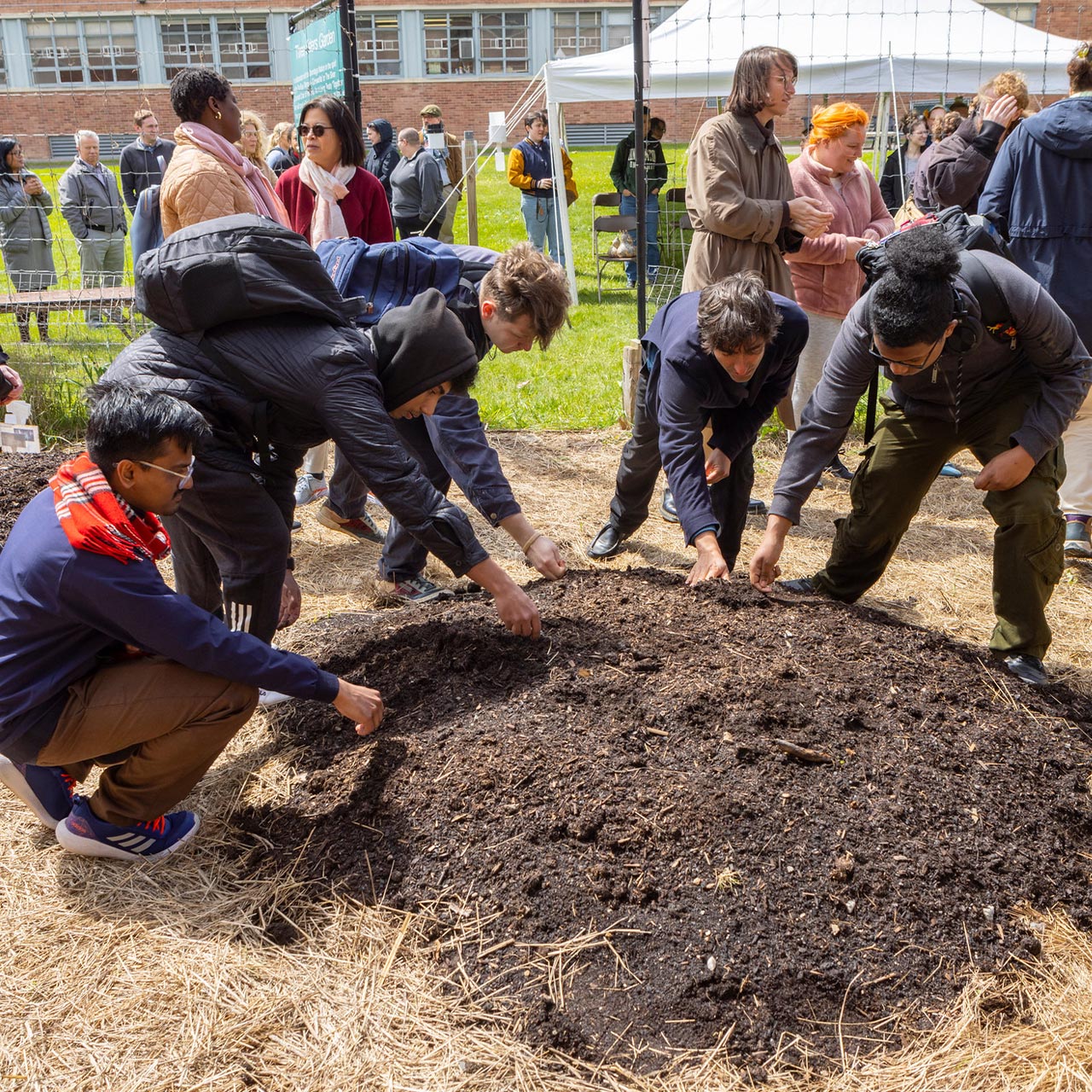 Three Sisters Garden Planting - Indigenous Thanksgiving blessing of the land and ceremonial planting of the Three Sisters: corn, beans, and squash